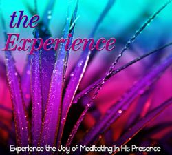 The Experience (Prophetic Soaking CD) by David Baroni 